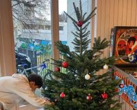 Décoration des locaux pour les fêtes de fin d'année  - 03.12.2025