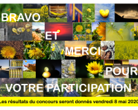 Concours photo de l'AJR sur le thème : La couleur Jaune - 08.05.2020