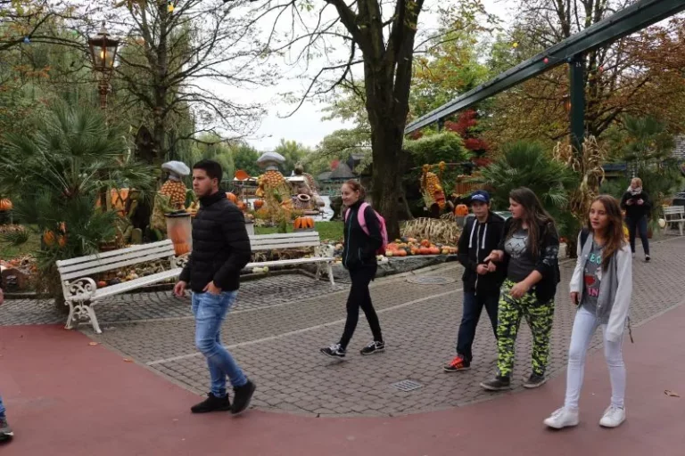 Sortie Europa Park, photo 11