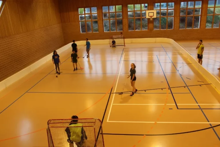 Journée multisports PROPAJ, photo 4
