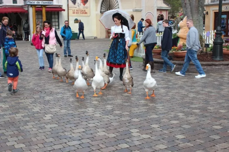 Sortie Europa Park, photo 6