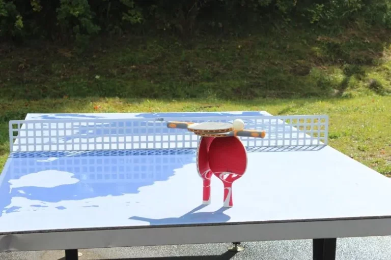 Animation mobile à Lajoux, photo 3