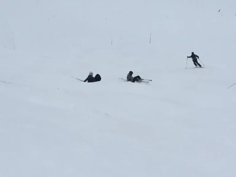 Journée à ski à Grindelwald, photo 6