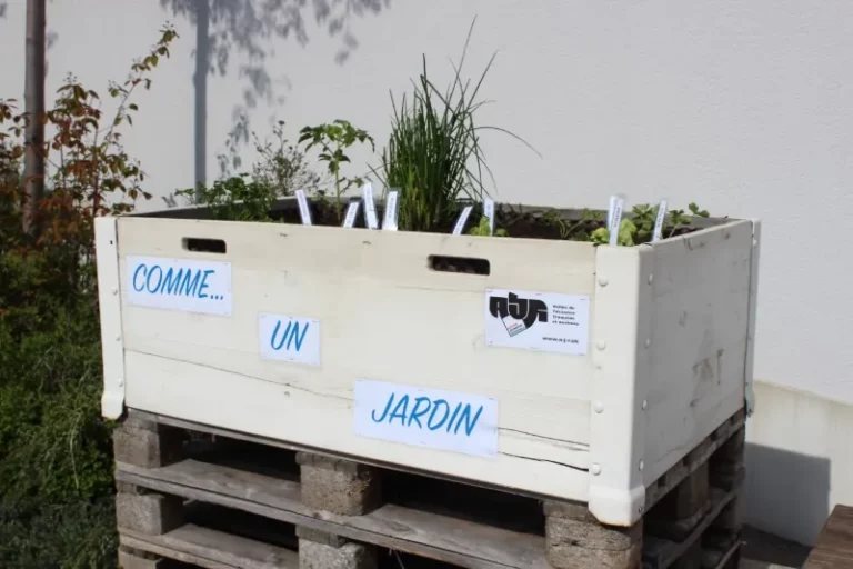 Nettoyage et plantation dans les bacs Comme... un jardin de Tramelan, photo 4
