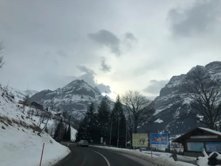Sortie à ski à Grindelwald, photo 4