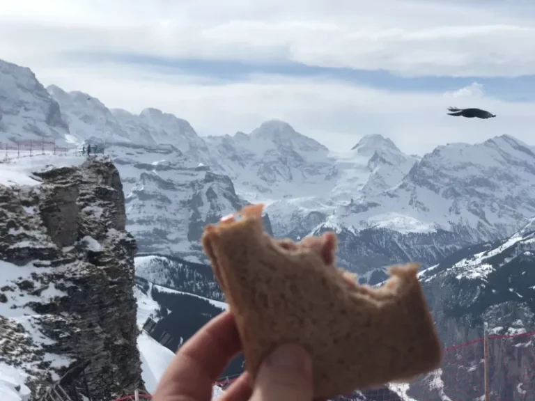Sortie à ski à Grindelwald, photo 10