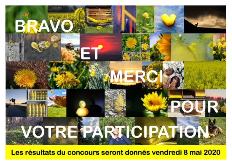 Concours photo de l'AJR sur le thème La couleur Jaune, photo 1