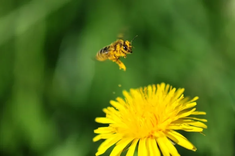 Concours photo de l'AJR sur le thème La couleur Jaune, photo 5
