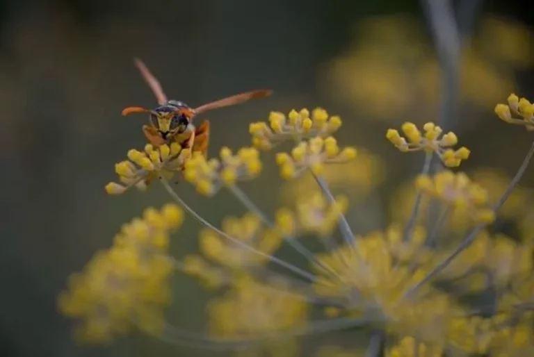 Concours photo de l'AJR sur le thème La couleur Jaune, photo 13