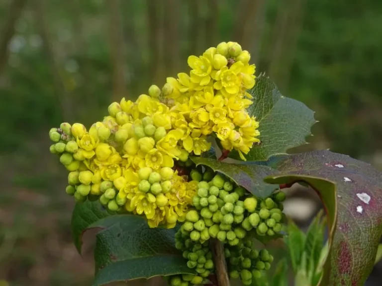 Concours photo de l'AJR sur le thème La couleur Jaune, photo 27