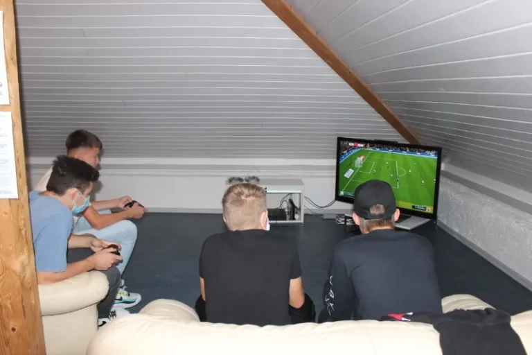 Tournoi FIFA20 en duo à Malleray, photo 5