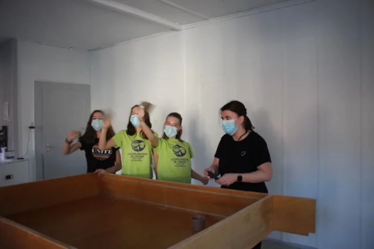 Atelier déco d'une étagère à Tramelan, photo 6