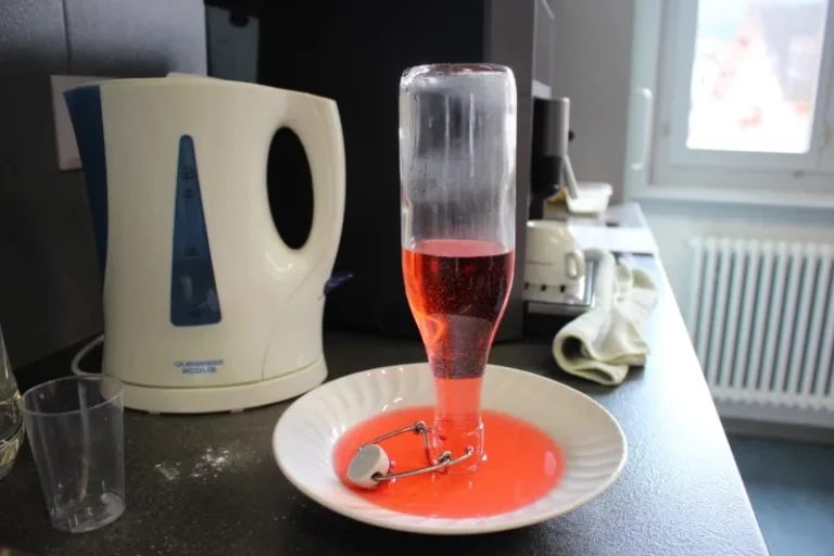 Petites expériences scientifiques à Malleray, photo 7
