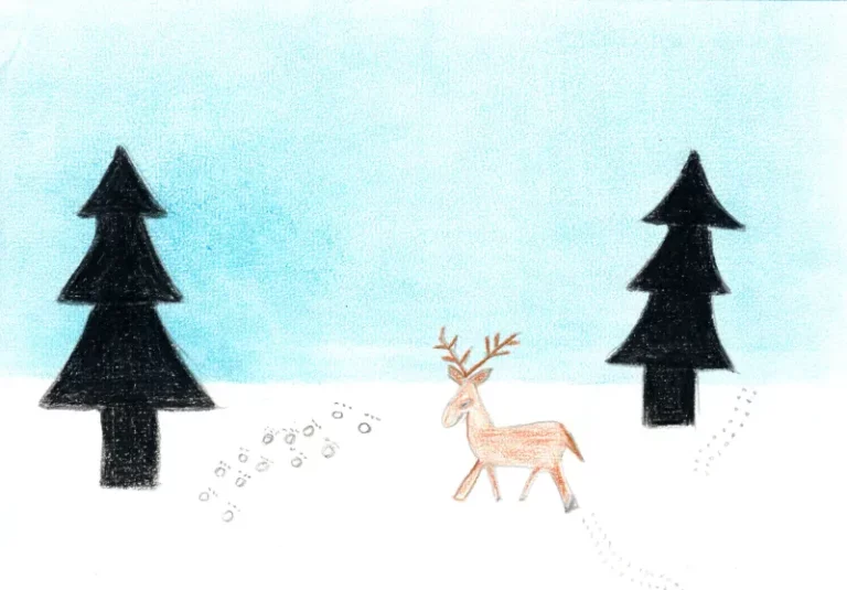 Concours de dessin pour la carte de voeux de l'AJR, photo 30