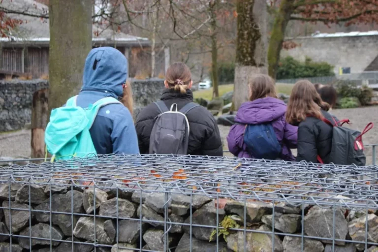 A la découverte de Berne, photo 6