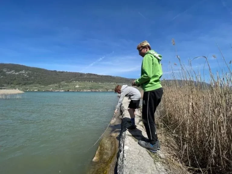 Balade à vélo pique nique dans la région, photo 9