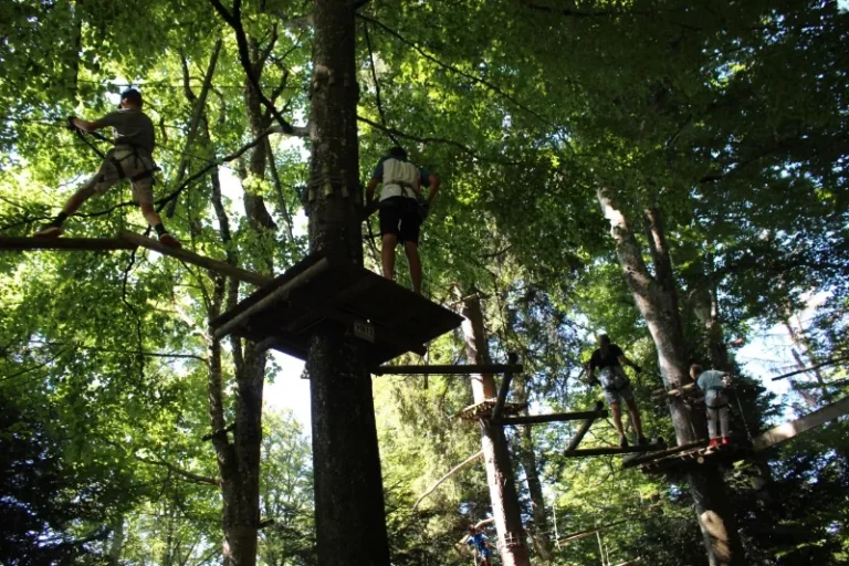 Accrobranche à Chaumont pique nique, photo 19