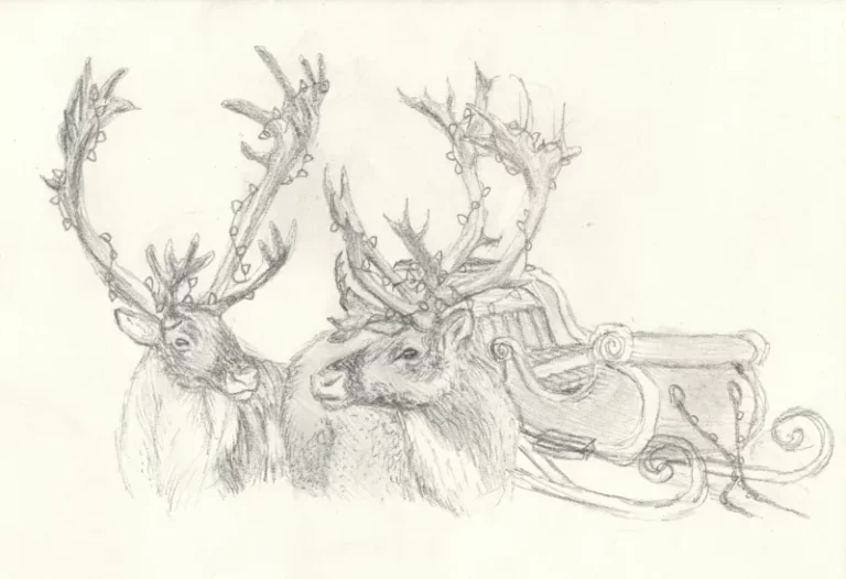 Concours de dessin pour la carte de voeux de l'AJR, photo 2