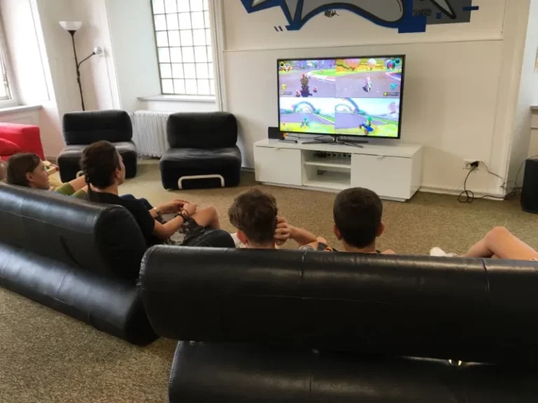 Tournoi Mario Kart sur Switch, photo 3