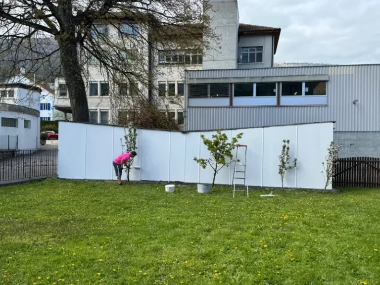 Préparation Fête du Printemps, photo 12