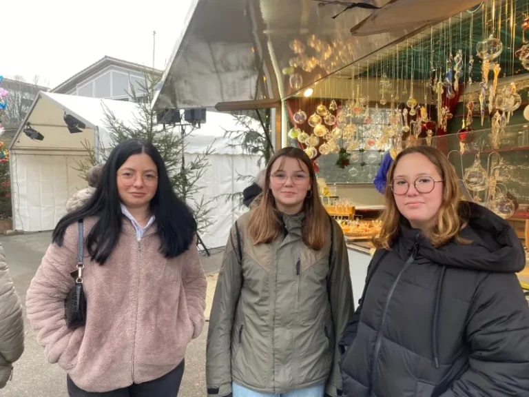 Sortie Marché de Noël à Soleure, photo 3