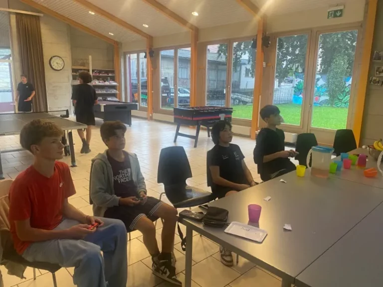 Tournoi Mariokart 8 organisé par Axel et Anes à Malleray, photo 4