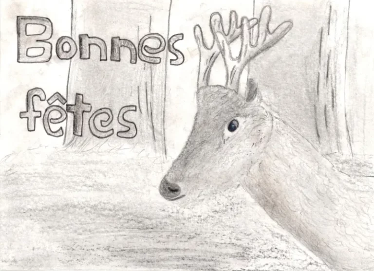 Concours de dessin pour la carte de voeux, photo 40