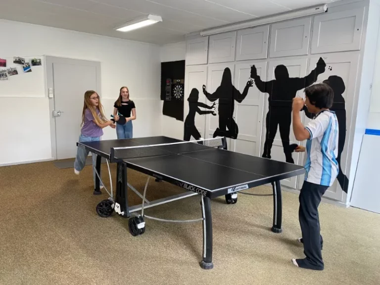 Tournantes de ping-pong à Tramelan, photo 1