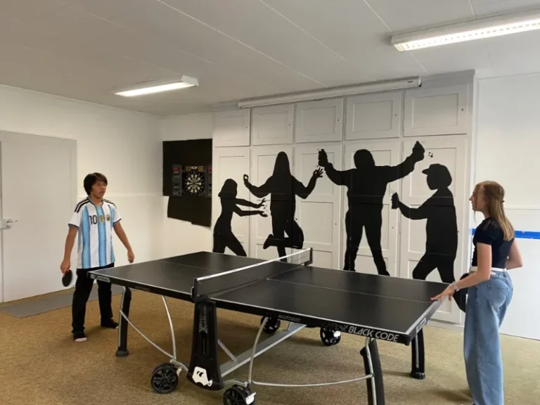 Tournantes de ping-pong à Tramelan, photo 5